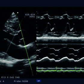 Dormed Hellas Ultrasound