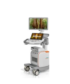 Siemens ACUSON Redwood – Υπερηχογράφος